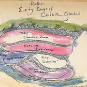 P. Allen Smith Garden Collections